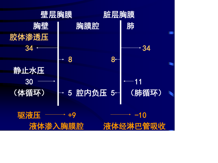 胸膜炎气胸幻灯.ppt_第3页