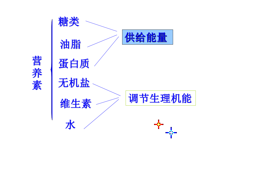 提供能量与营养的食物(精).ppt_第2页