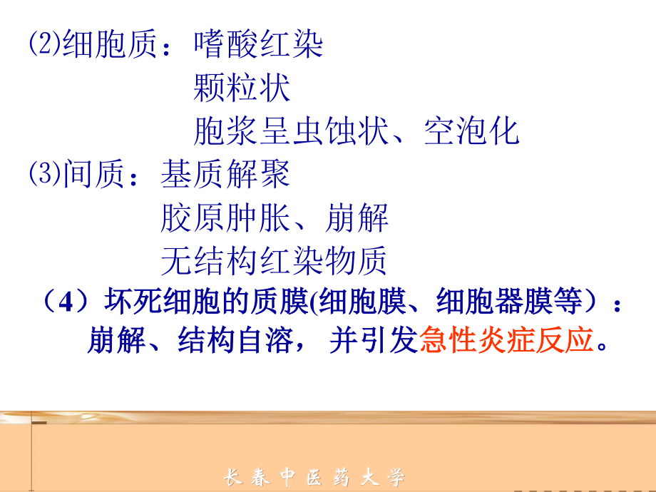 细胞和组织的适应损伤与修复2.ppt_第3页