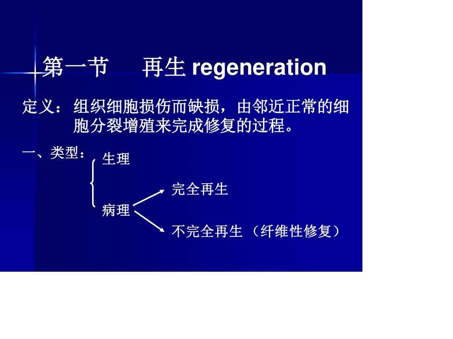 新生的毛细血管增生的纤维母细胞一定量的炎性细胞肉芽组织的结构.ppt_第2页