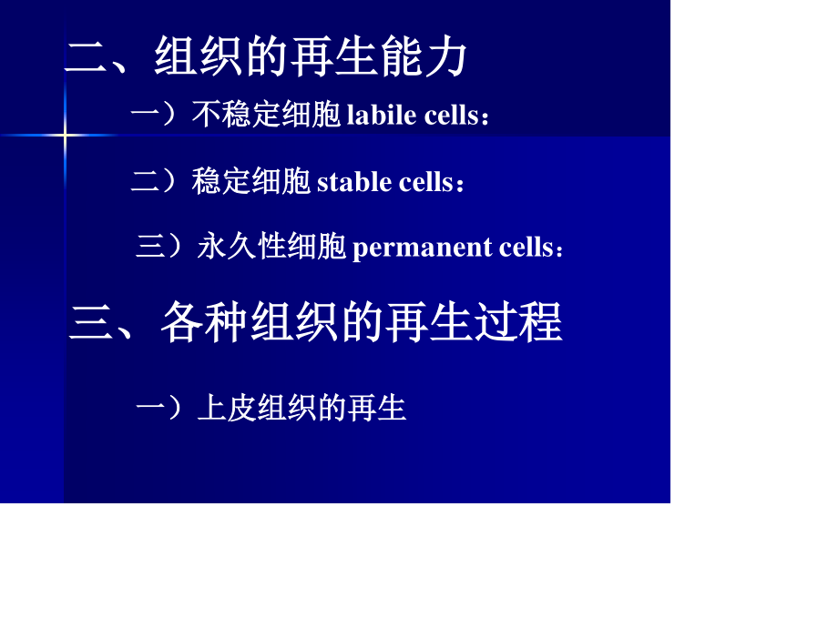 新生的毛细血管增生的纤维母细胞一定量的炎性细胞肉芽组织的结构.ppt_第3页