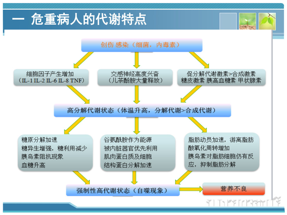 危重病人的代谢特点和营养评定.ppt_第3页