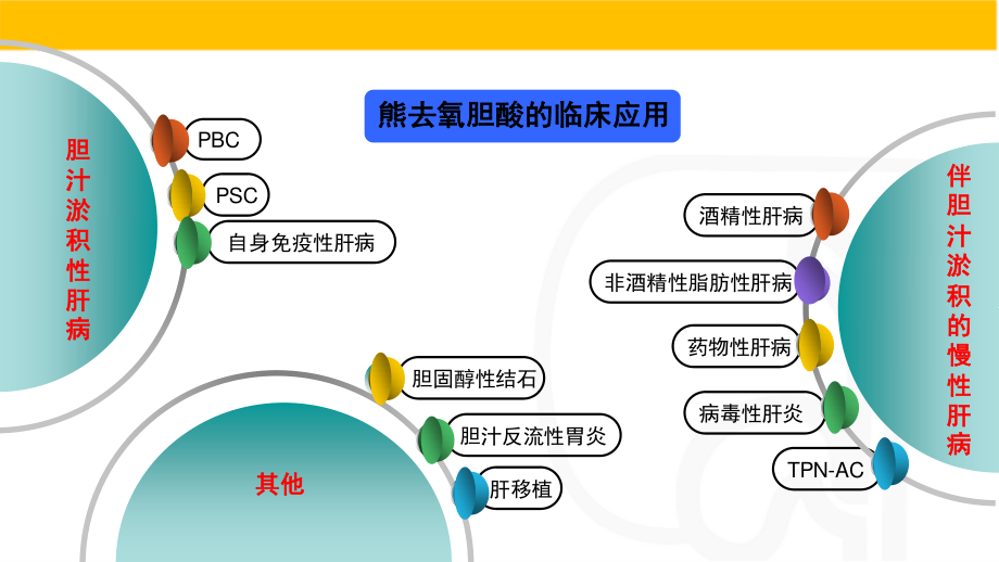 熊去氧胆酸对血糖的影响.pptx_第3页