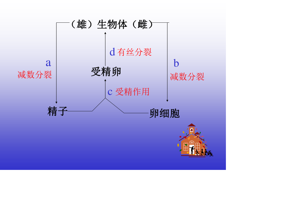 小孢子花粉粒胚囊母细胞.ppt_第1页