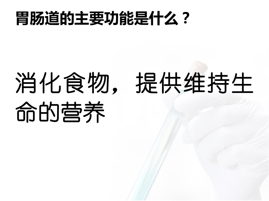 胃动力药和止吐药.ppt_第2页