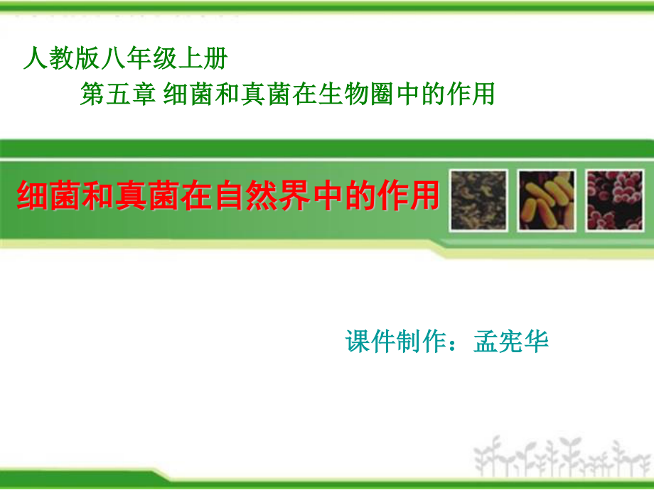 细菌和真菌在自然界中的作用.ppt_第1页