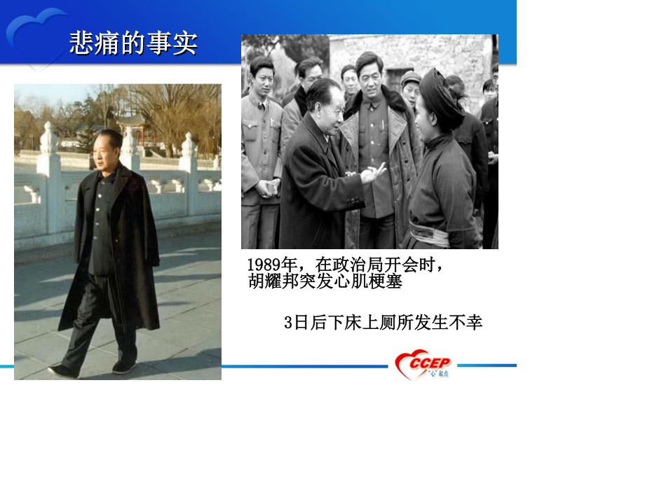 心血管健康讲座2015.ppt_第2页