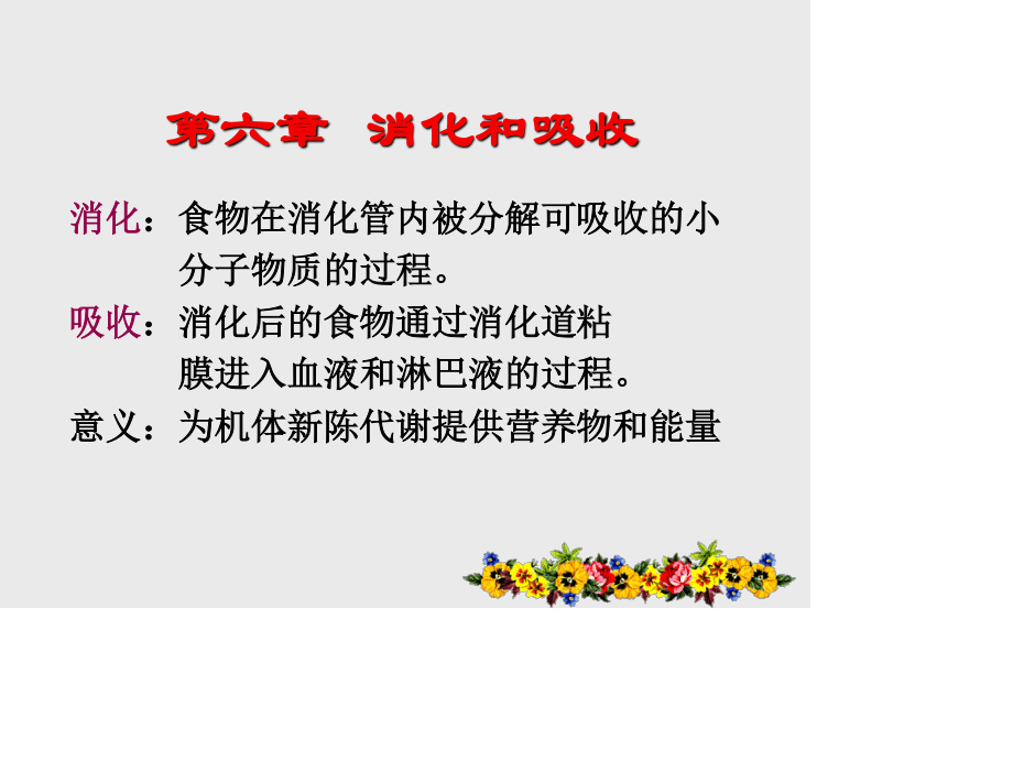 消化和吸收revise.ppt_第3页