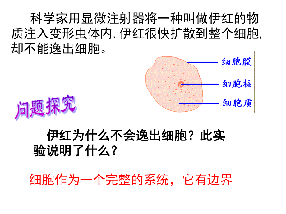 细胞膜公开课版本.ppt_第1页