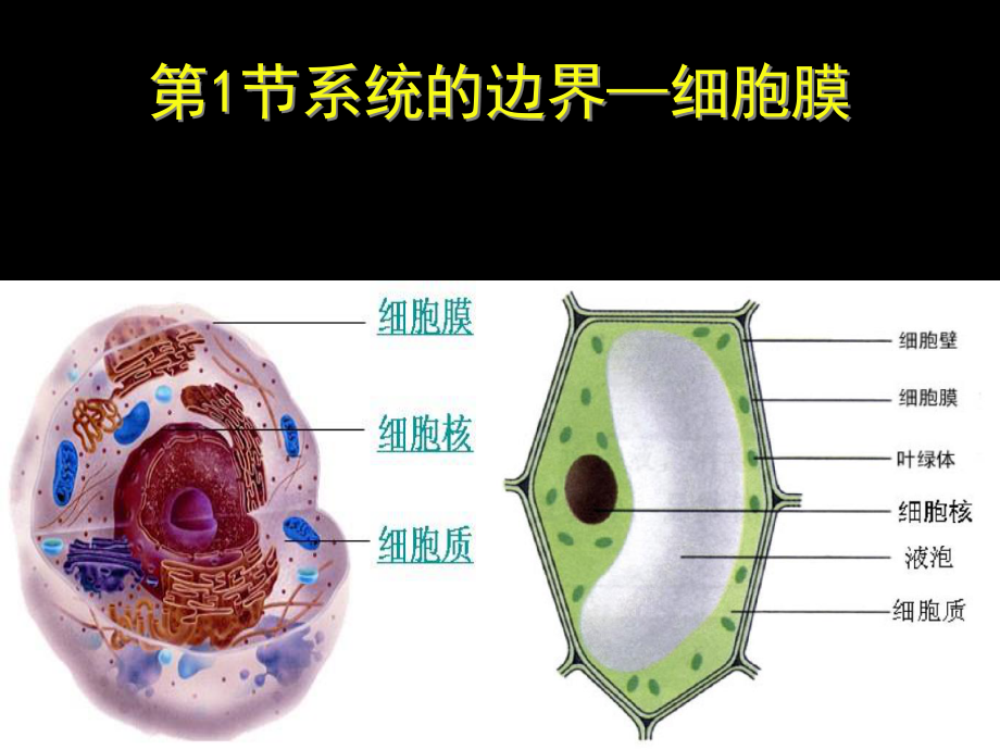 细胞膜公开课版本.ppt_第2页