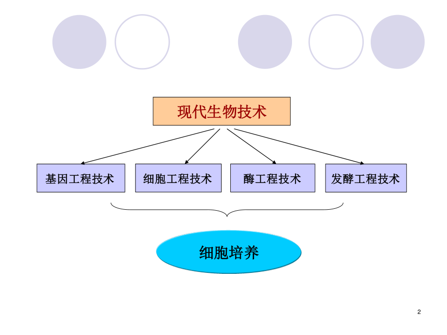 细胞分离与培养技术.ppt_第2页