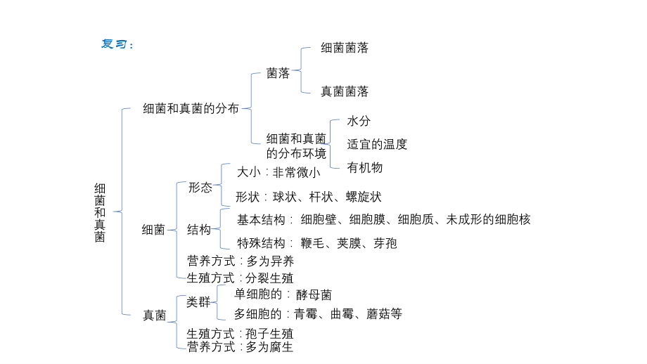 细菌和真菌在自然界中的作用演示文件.pptx_第1页