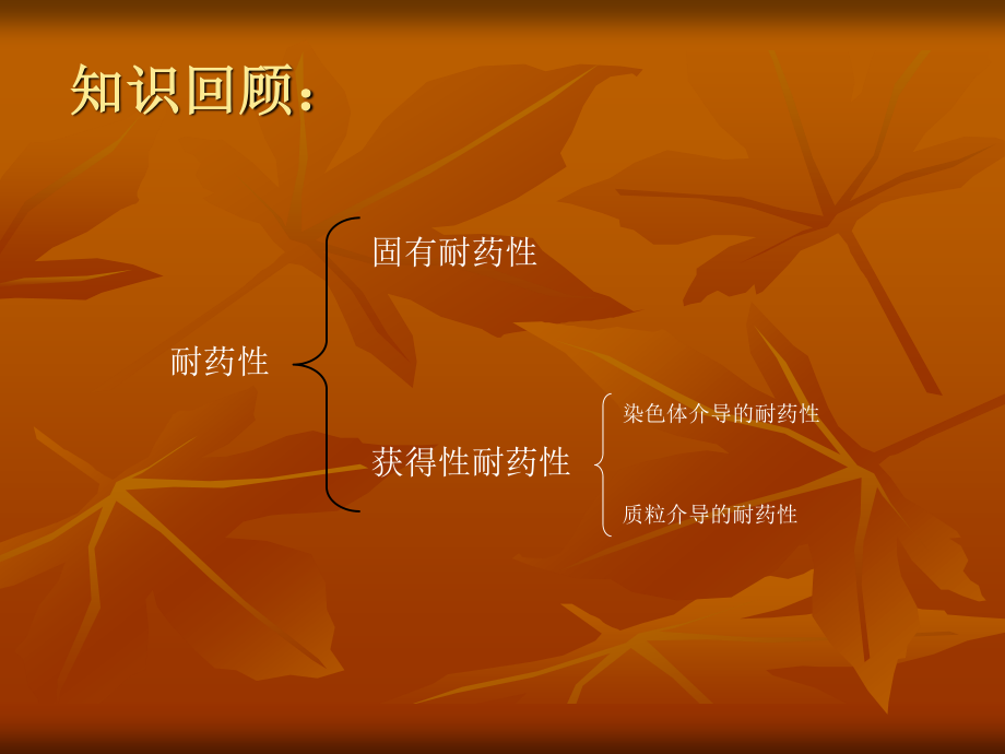 细菌的耐药性机制.ppt_第3页