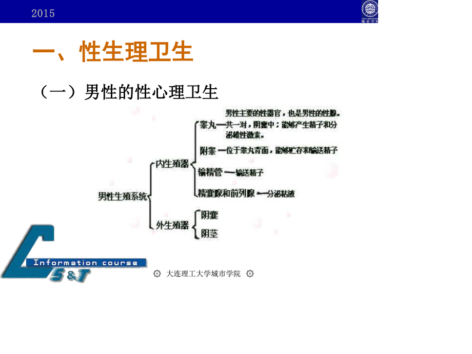 性与生殖健康基础知识.ppt_第3页