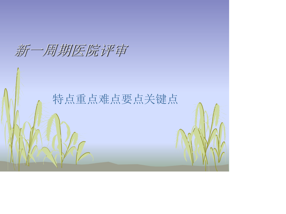 新一周期医院评审.ppt_第1页