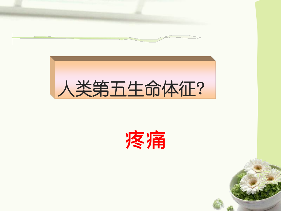 疼痛讲座.ppt_第3页