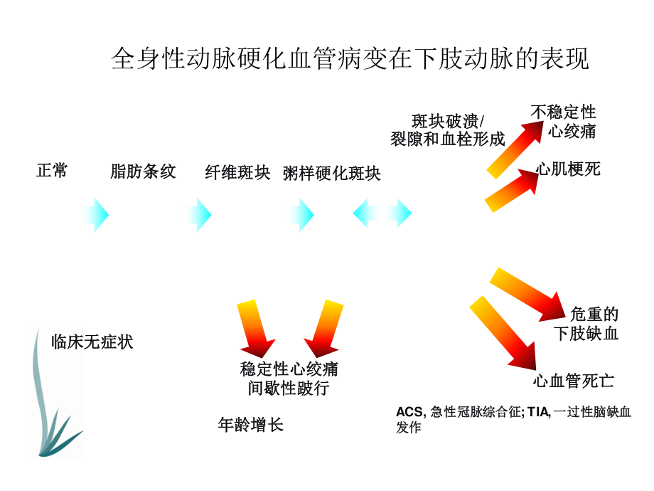 下肢动脉硬化闭塞症诊治指南.ppt_第2页