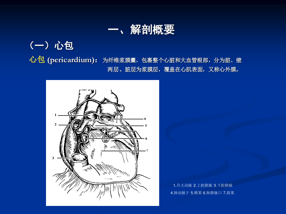 心脏彩超.ppt_第3页