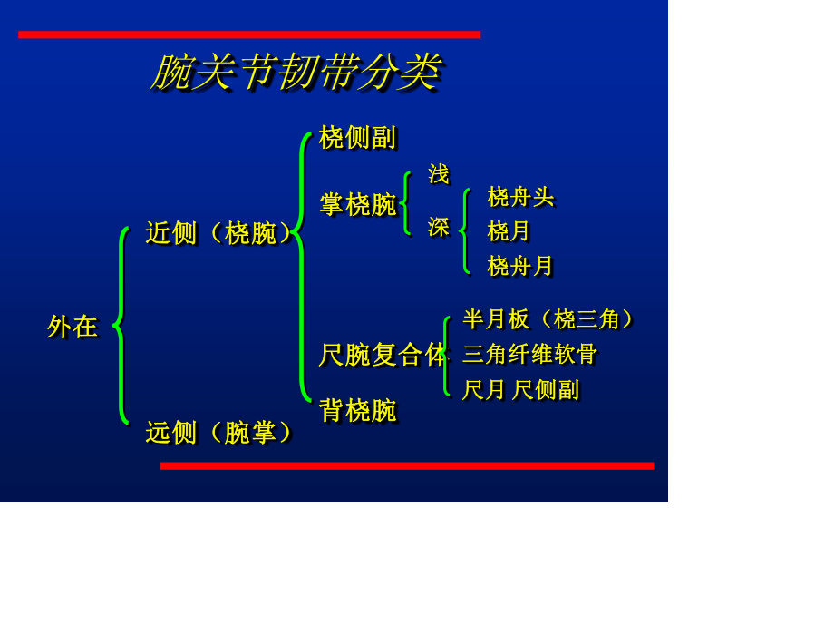 腕关节不稳的诊治.ppt_第2页