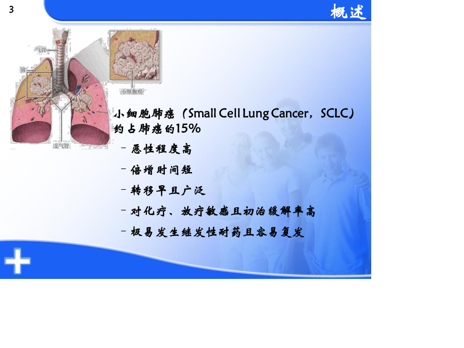 小细胞肺癌一线化疗.ppt_第3页