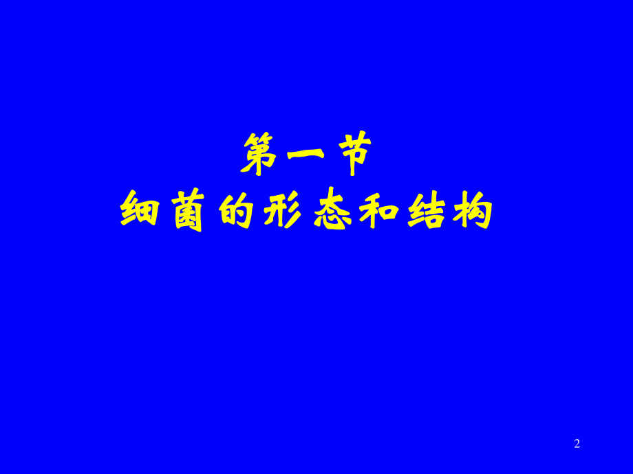 细菌的形态和结构.ppt_第2页