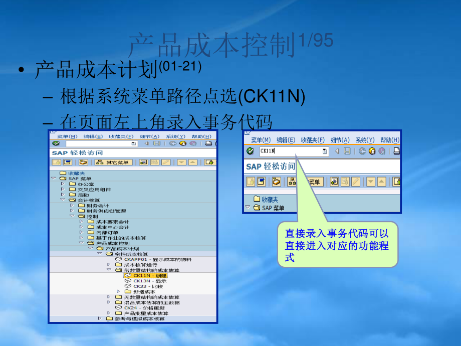 SAP成本月结及标准成本估算-new.pptx_第2页