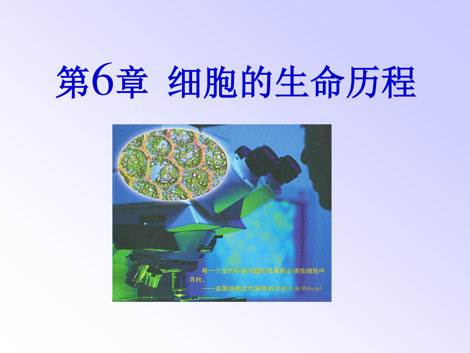 细胞的增殖ppt.ppt_第1页