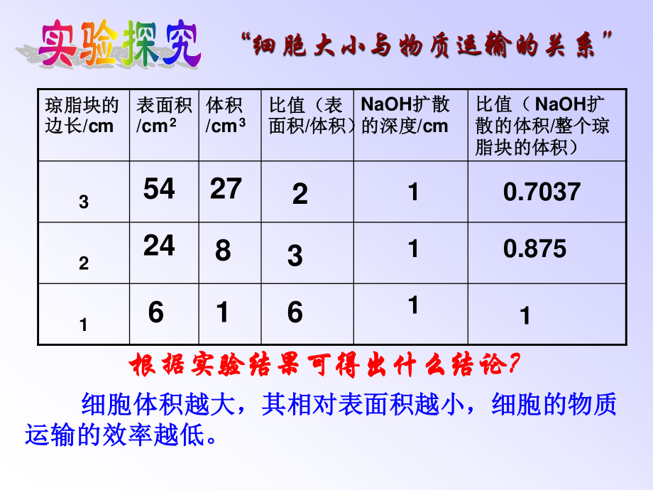 细胞的增殖ppt.ppt_第3页