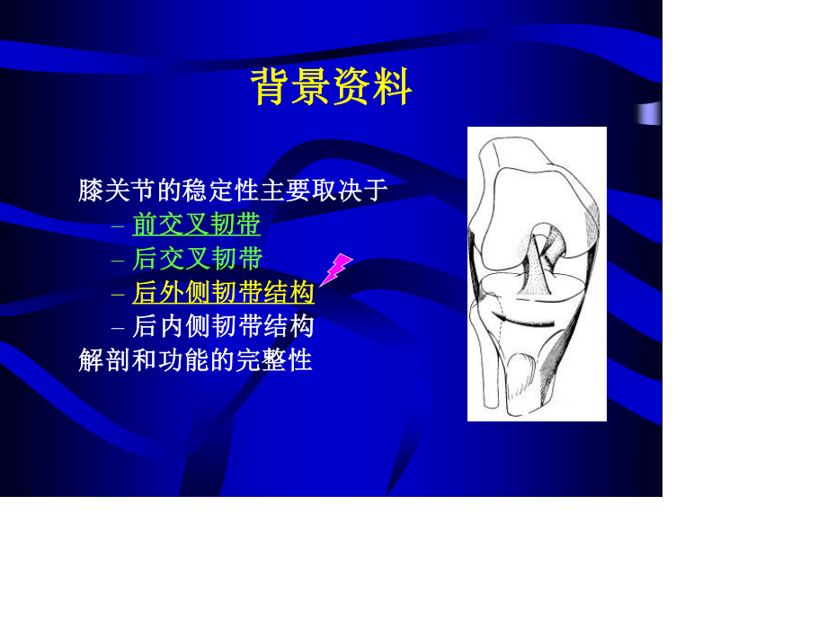 膝关节稳定性重建.ppt_第3页