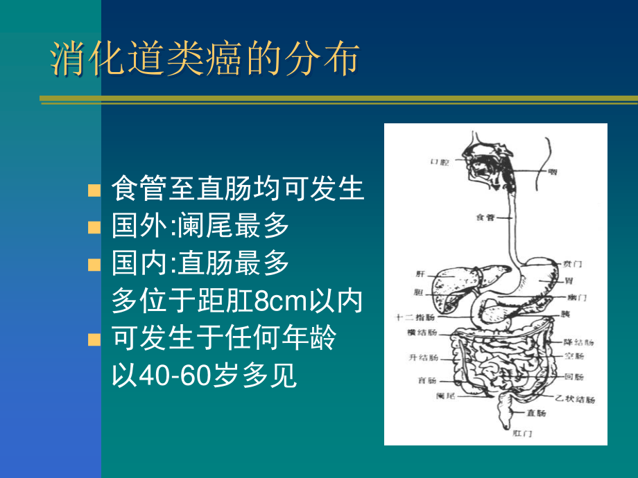 消化道类癌与类癌综合征1.ppt_第3页