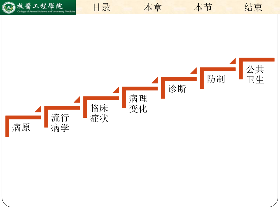 土拉杆菌病.ppt_第2页