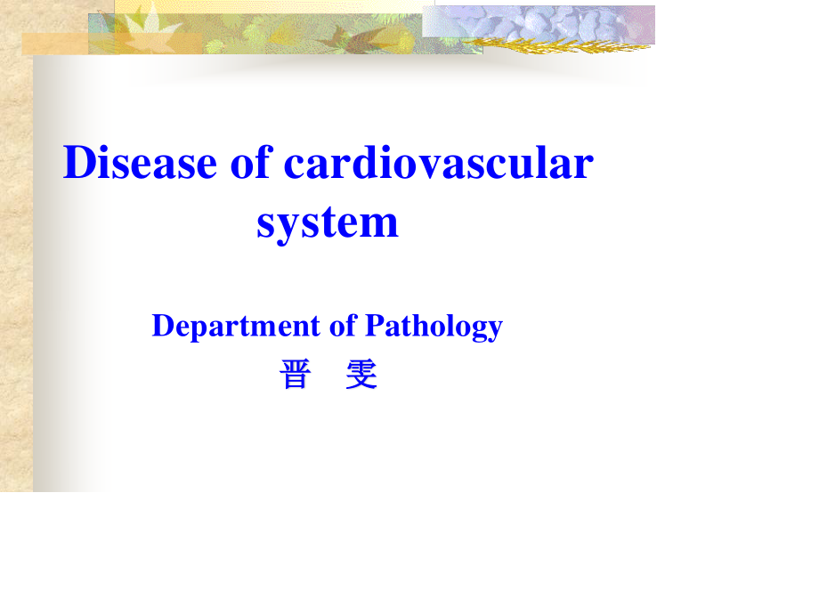 心血管研究生-jian.ppt_第1页