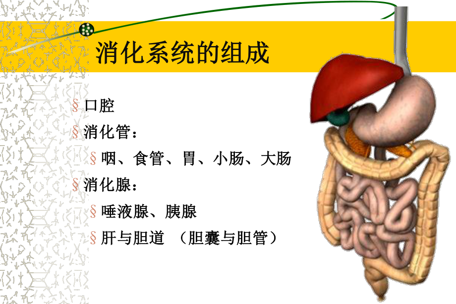 胃炎胃溃疡.ppt_第2页