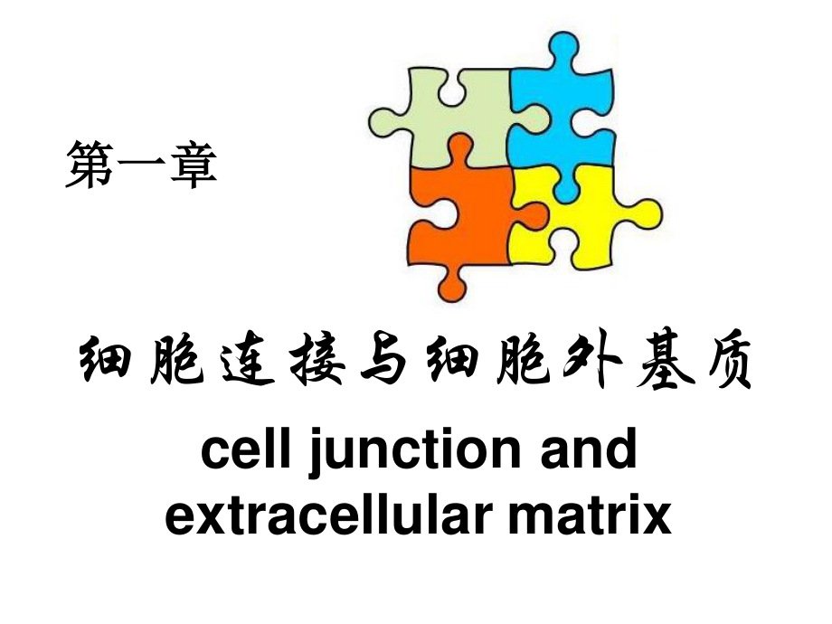 细胞信号转导精品ppt.pptx_第2页