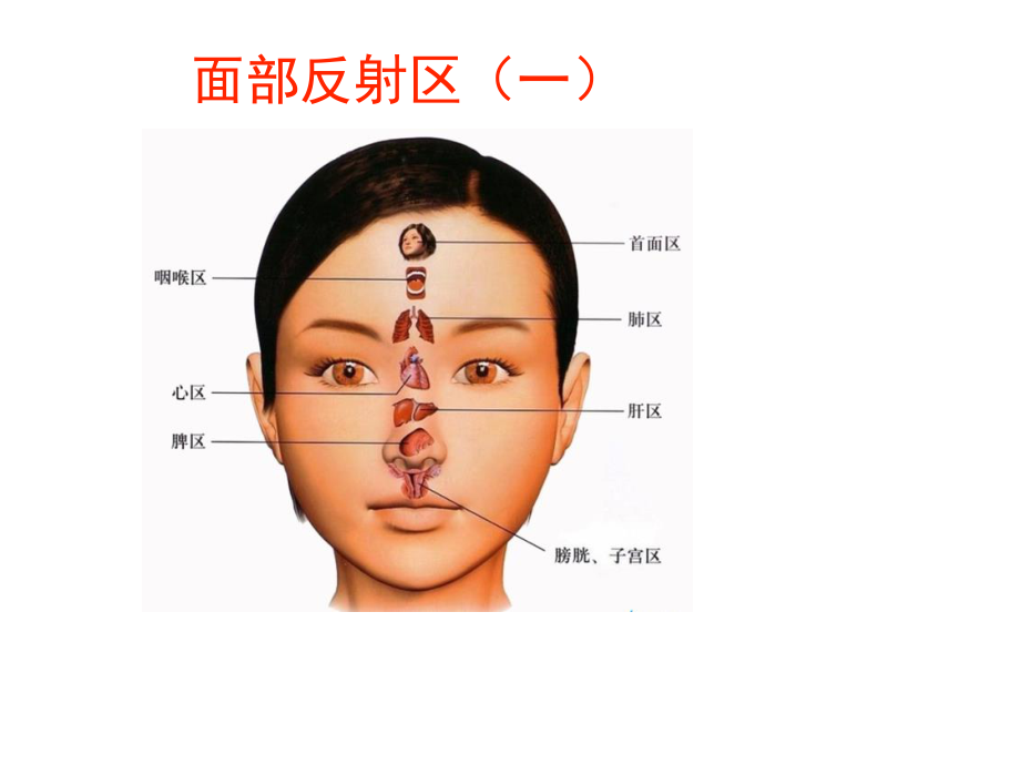 心脑血管手面诊1.pptx_第2页