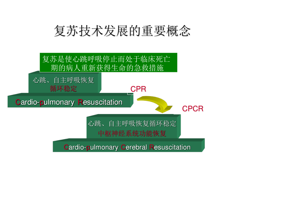 心肺脑复苏-心律失常.ppt_第2页