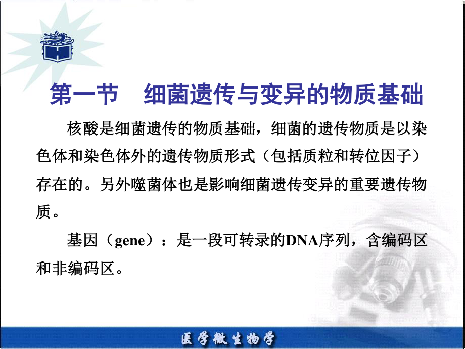 细菌的遗传和变异.ppt_第3页