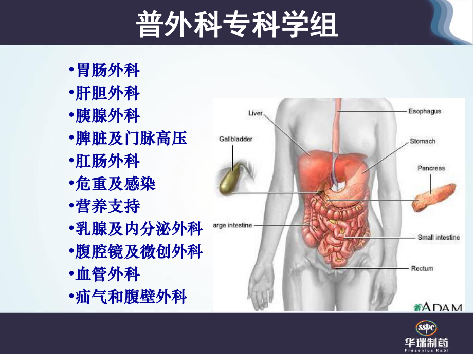 外科患者的营养支持.ppt_第2页