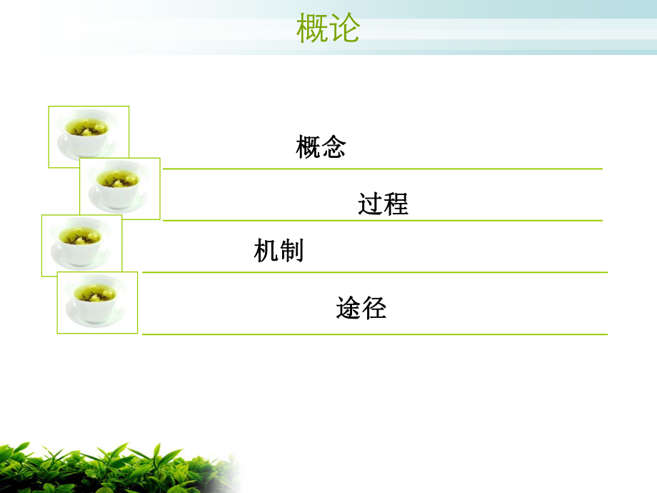 细胞凋亡与寄生虫感染.ppt_第3页