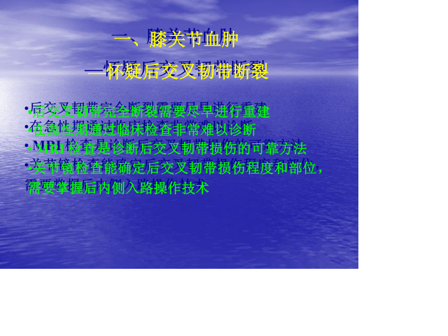 膝关节镜.ppt_第3页