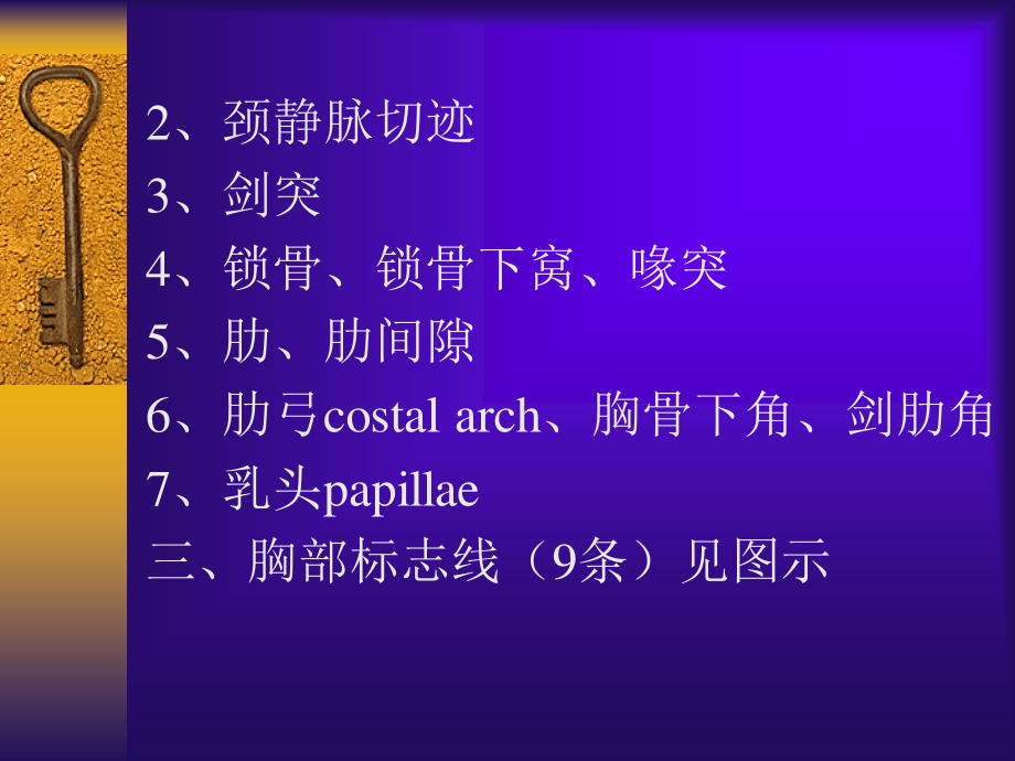 胸前区、腋区.ppt_第3页