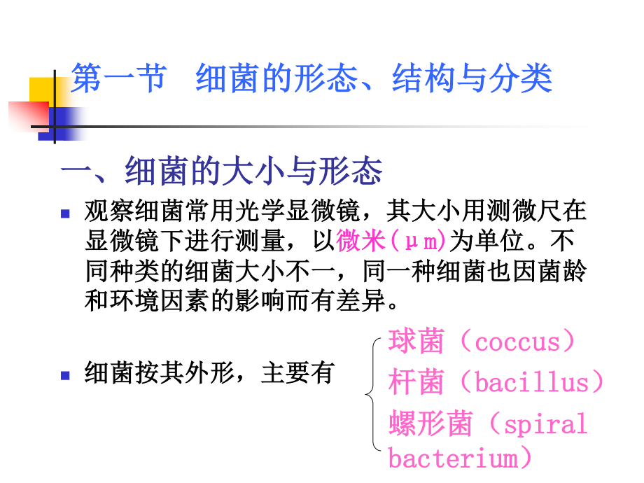 细菌形态和生理.ppt_第2页