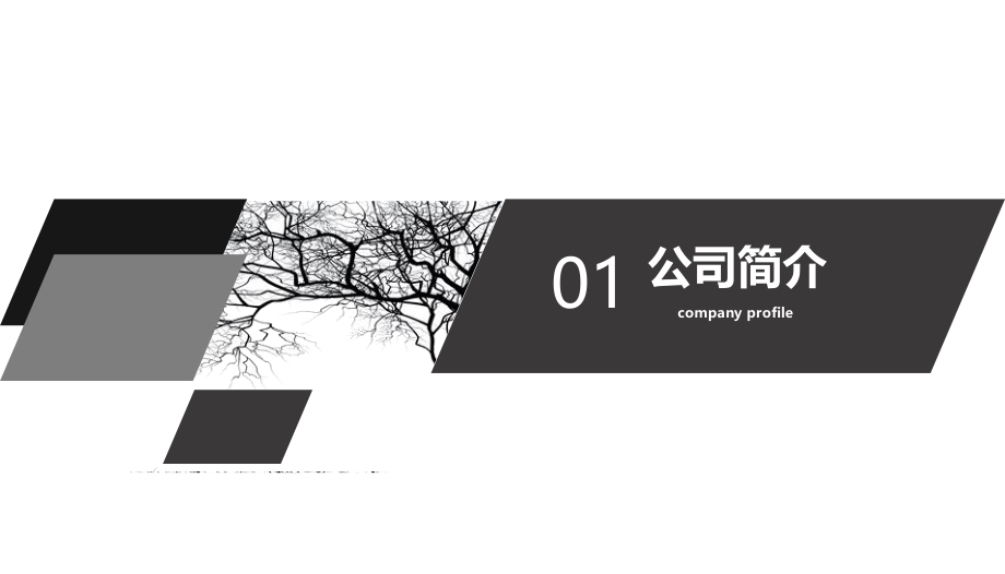 答辩模板之极简风、通用PPT模板 (17).pptx_第3页