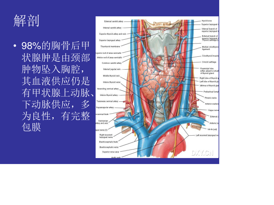 胸骨后甲状腺肿的外科处理.ppt_第3页