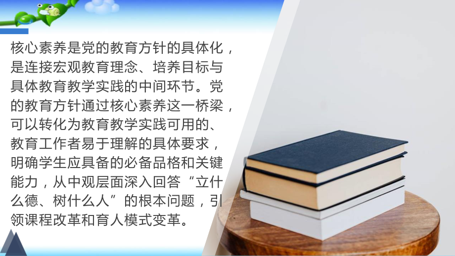 基于核心素养导向的中考英语复习策略与备考建议.pptx_第3页