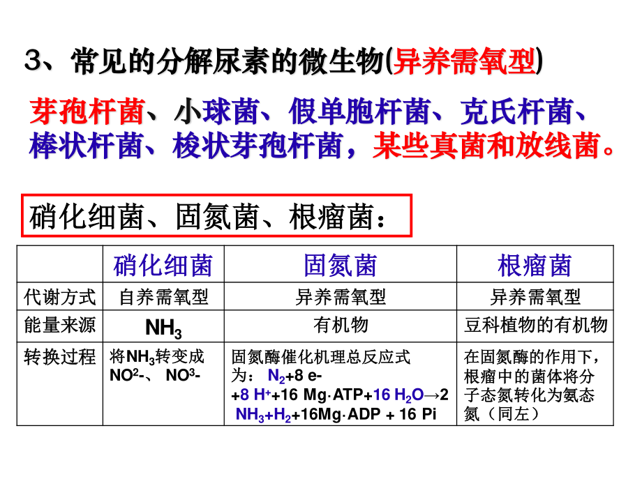 土壤中分解尿素的细菌的分离与计数.ppt_第3页