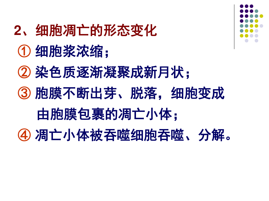 细胞凋亡的机制.ppt_第3页