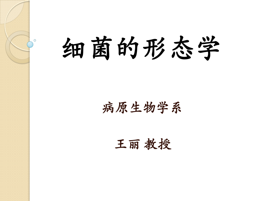 细菌的形态学.ppt_第3页