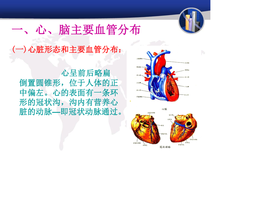 心脑血管、常见疾2.ppt_第3页