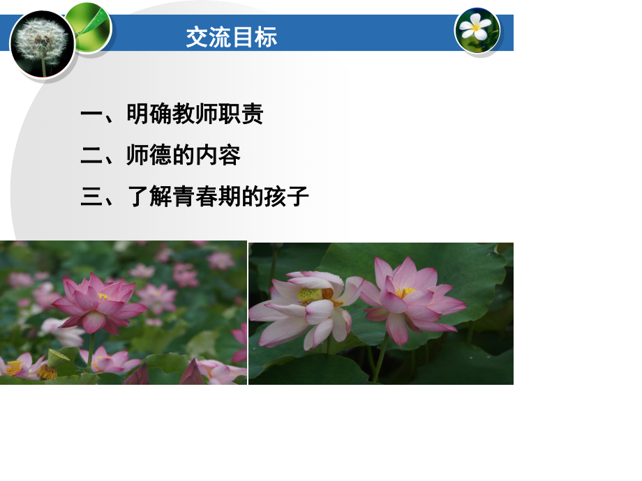 教师师德师风建设专题培训《润物细无声》.ppt_第2页